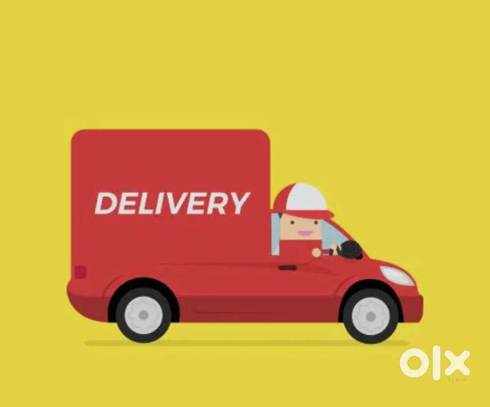 Van delivery boy in siwan