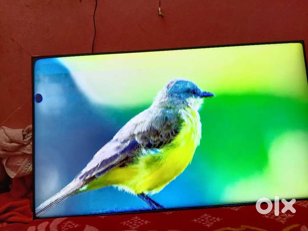 Samsung TV 55 inch