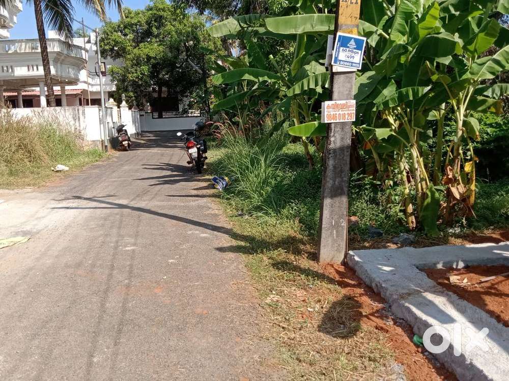 8 cents of Land sale. Near Paravattani Nellikunne Road. Paravattani
