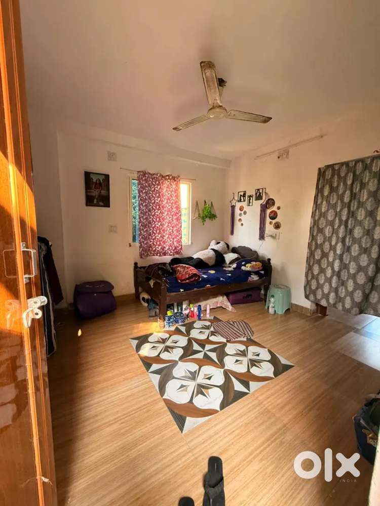 Need a girl roommate