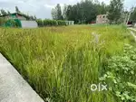Beautiful 8 marla rectangular plot for sale in kanipora