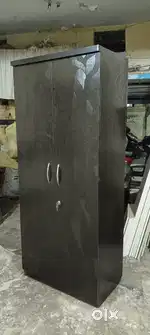 Most attractive look two door wardrobe for 3999