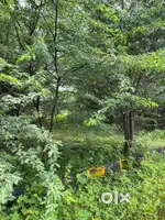 Best land near to yadagiri gutta and highway