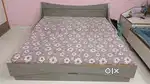 Sofa cum bed & single bed