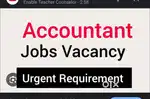 Accountant job in company