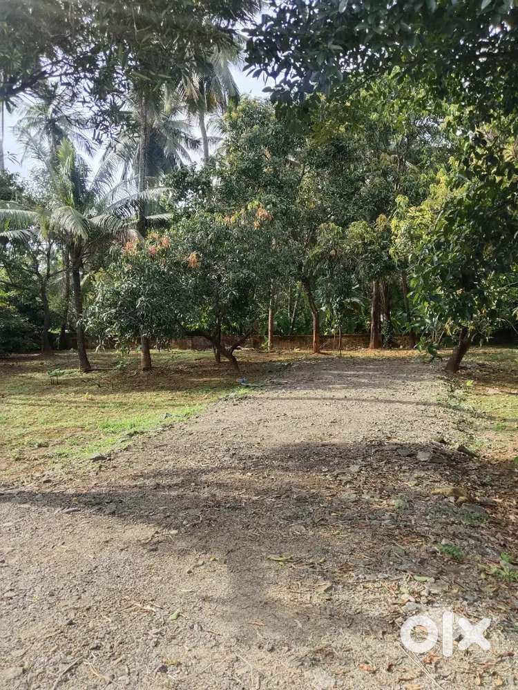Thrissur kuttanallur highlight mall near 4.300 cent plot for sale