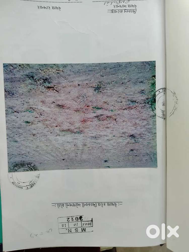 Akshardham Ma Plot Vech Vano Che Koi Ne Levo Hoy To , Best Investment