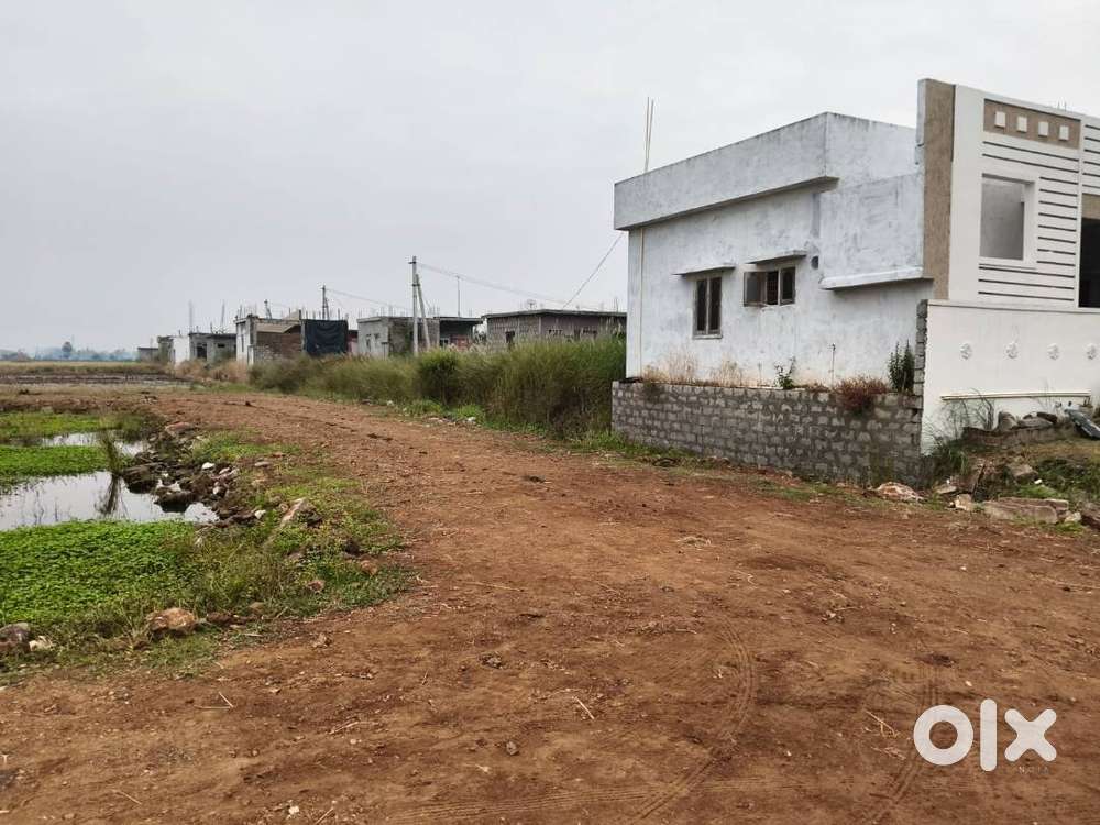 aKankipadu nearby plots at  kunderu right chioce bandaroad plots