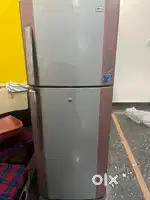 Lg double door