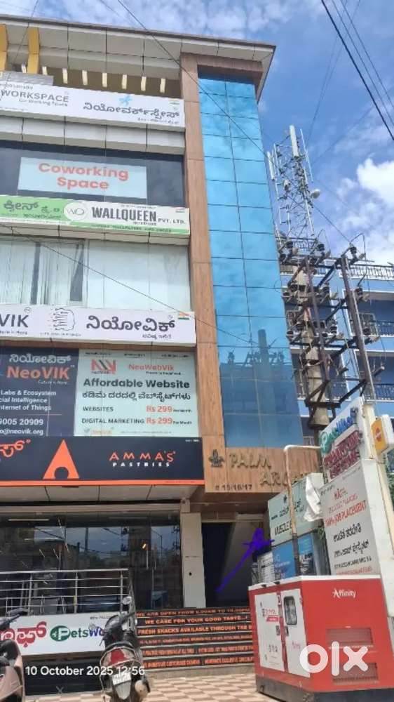 Account job daily 11 to 2 pm