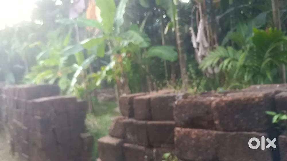 More than 2.5 acre of land with 40 lakh worth godown