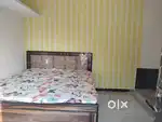 Need a female roomvmate