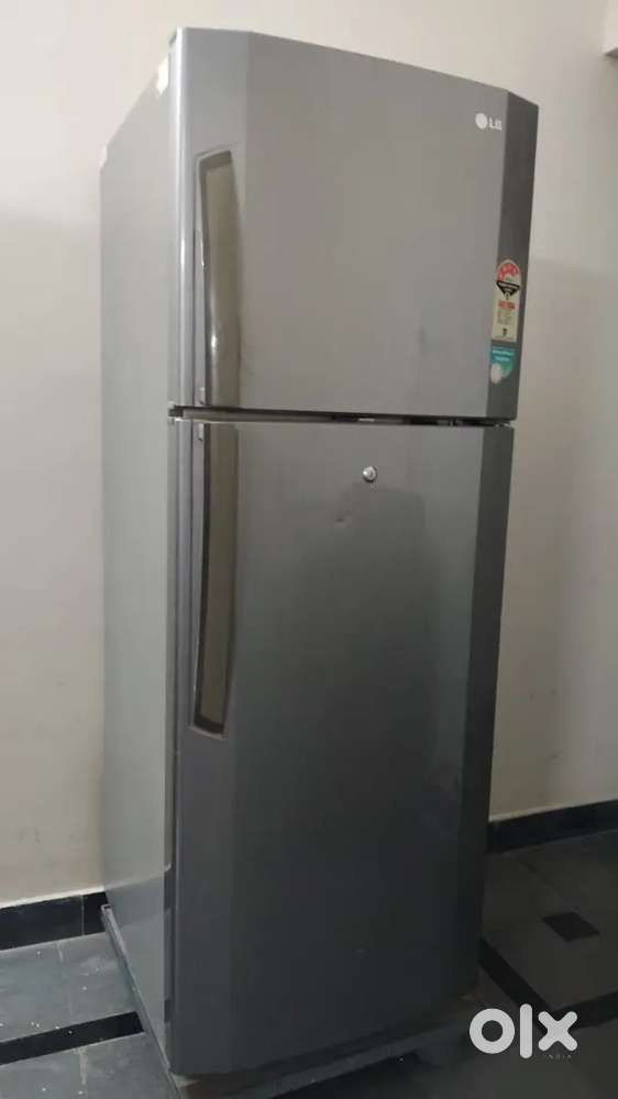 Double door 290 litre LG refrigerator with stand