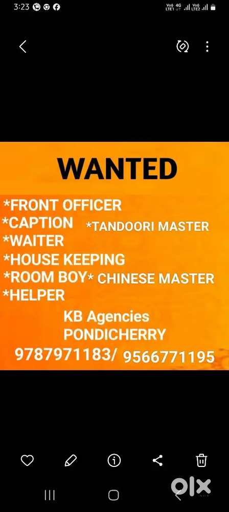 Urgent wanted for job