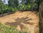 6 cent square house plot Kariyam