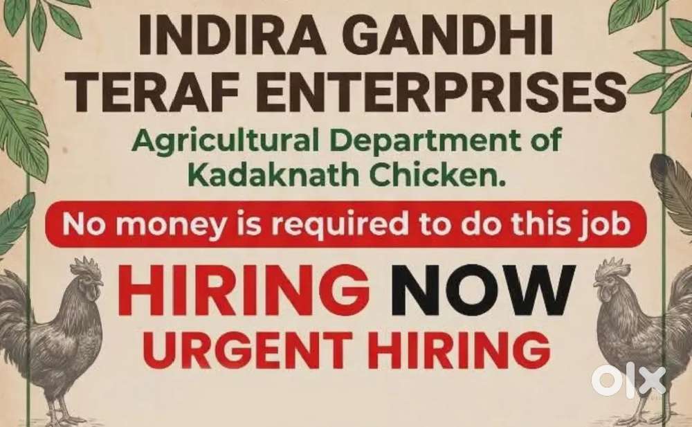 INDIRA GANGHI TERAF ENTERPRSES