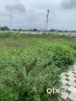 Best plots and best location