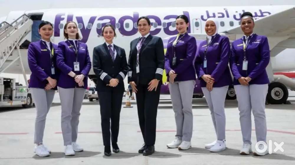 Jobs in IndiGo airlines call me for this job