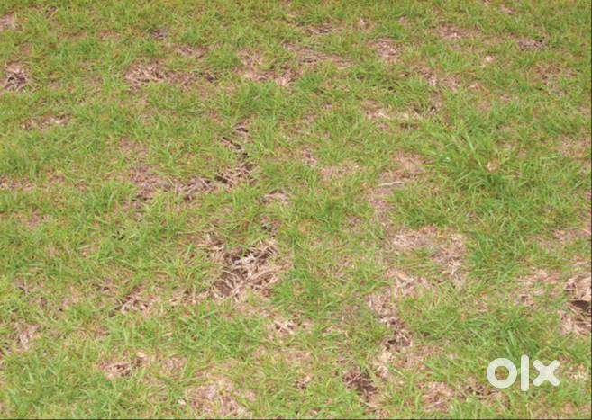 NGL வெள்ளமடத்தில் வீட்டு மனை