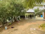 1.25 ACER FARM HOUSE PROPERTY FOR SALE IN ANNUR