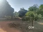 7 cents land sale, ontibettu