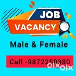Urgently Required office Assistant