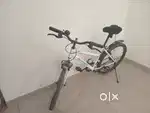 Rock rider L frame rugged