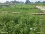 Hathuwar babatpur harahua