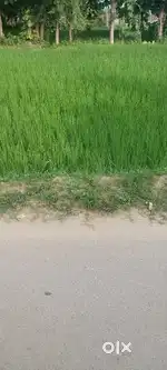 Ghaghsra bajar ke pass