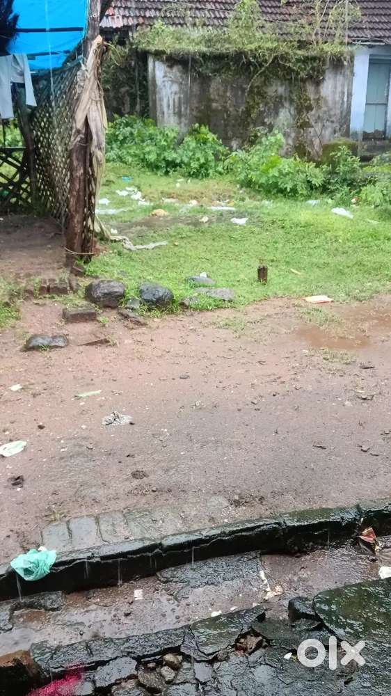 Sale in 23.5 cent  next 4.5 cent sale