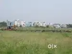 DTCP site for sale 3 cent at Pollachi Backside of Lathangi school