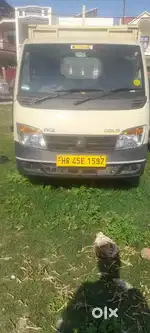 Tata cx petrol