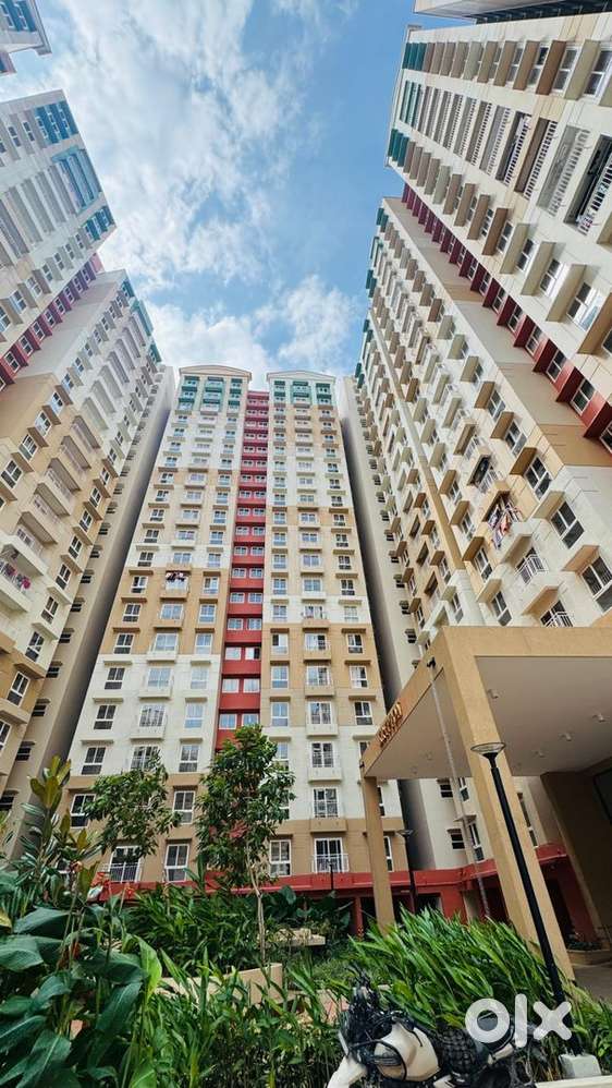 2bhk/3bhk for rent in brigade el dorado