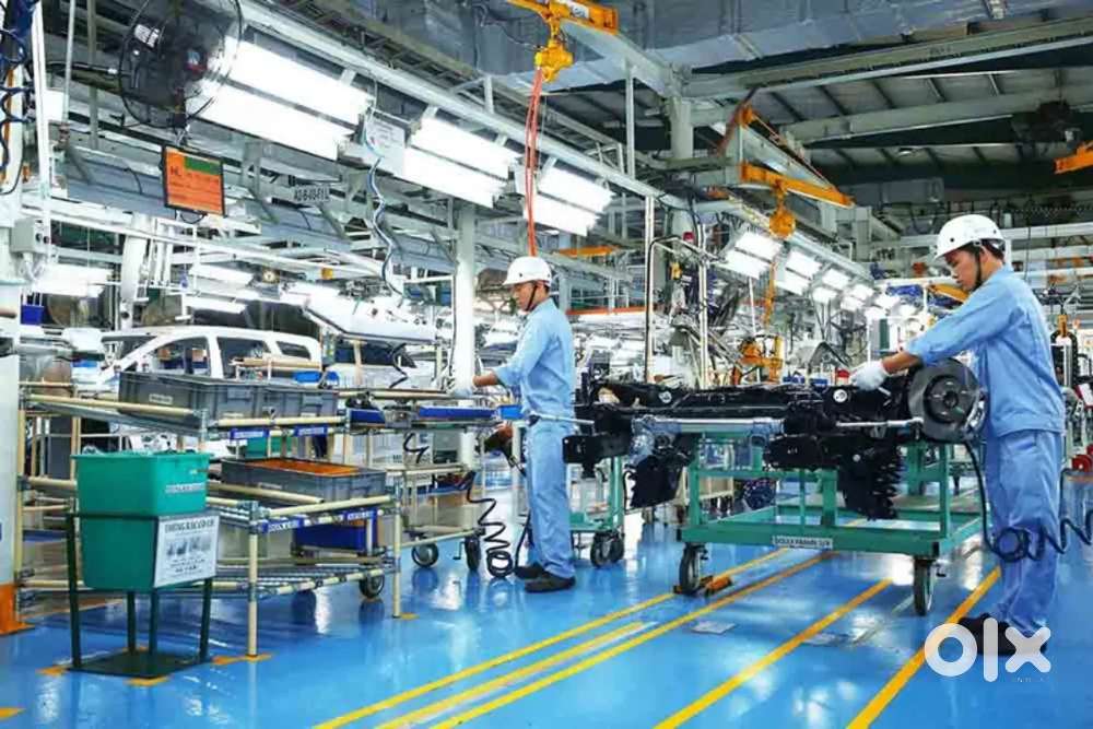 Hiring for quality department