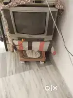 Texla television
