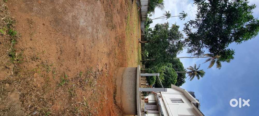 Plot for sale_ Gandhigram Irinjalakudada