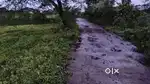 2.5 Acer Land For Sale , Concrete Road Touch Land MalunjeTal Igatpuri