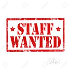 billing cum sales gofrugal software experience person prefered