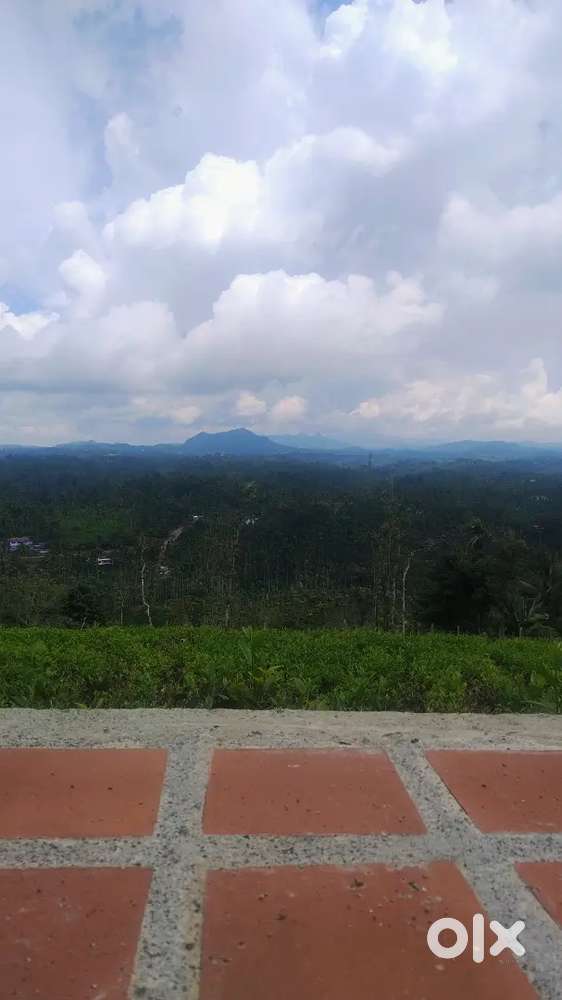 Wayanad  /black tulip properties