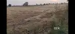 7 bigha on road property near khair Aligarh