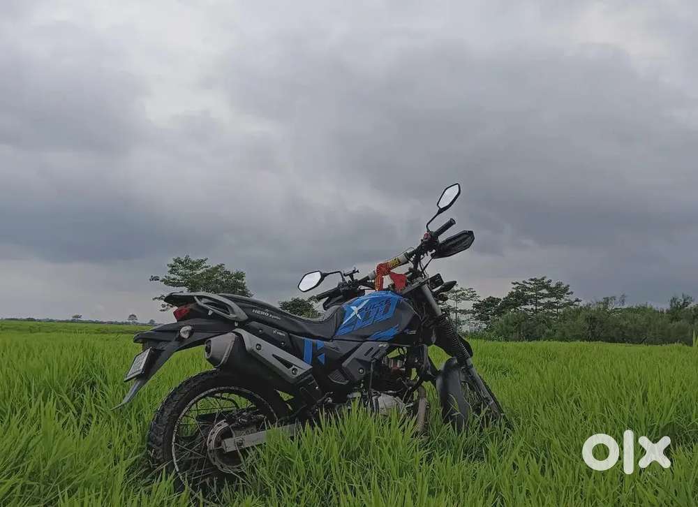 Condition  100% . No problem