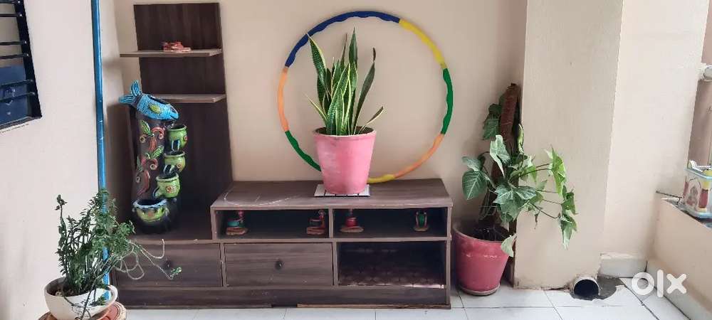 Showcase for sale