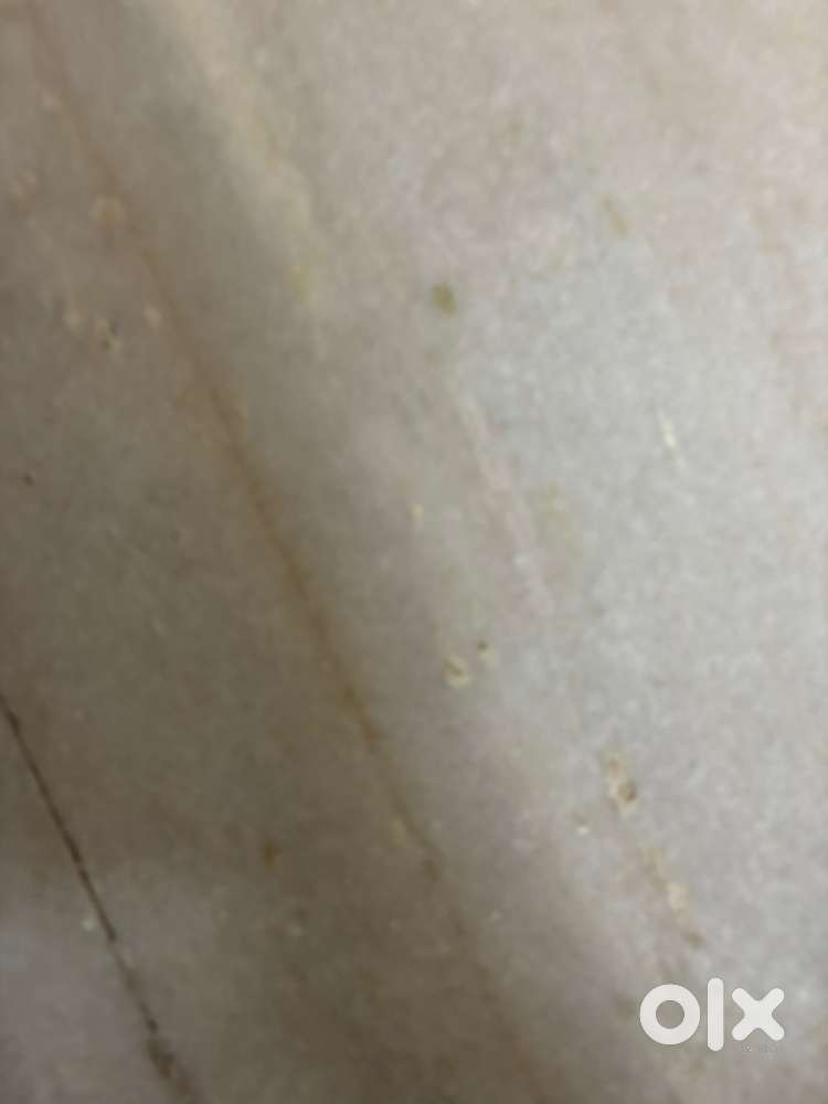 Data entry operator female