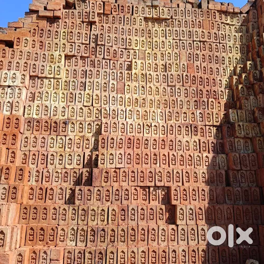 Rai brother bricks