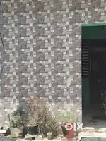 Sell Home in village: Behlolpur , near chandigarh mohali