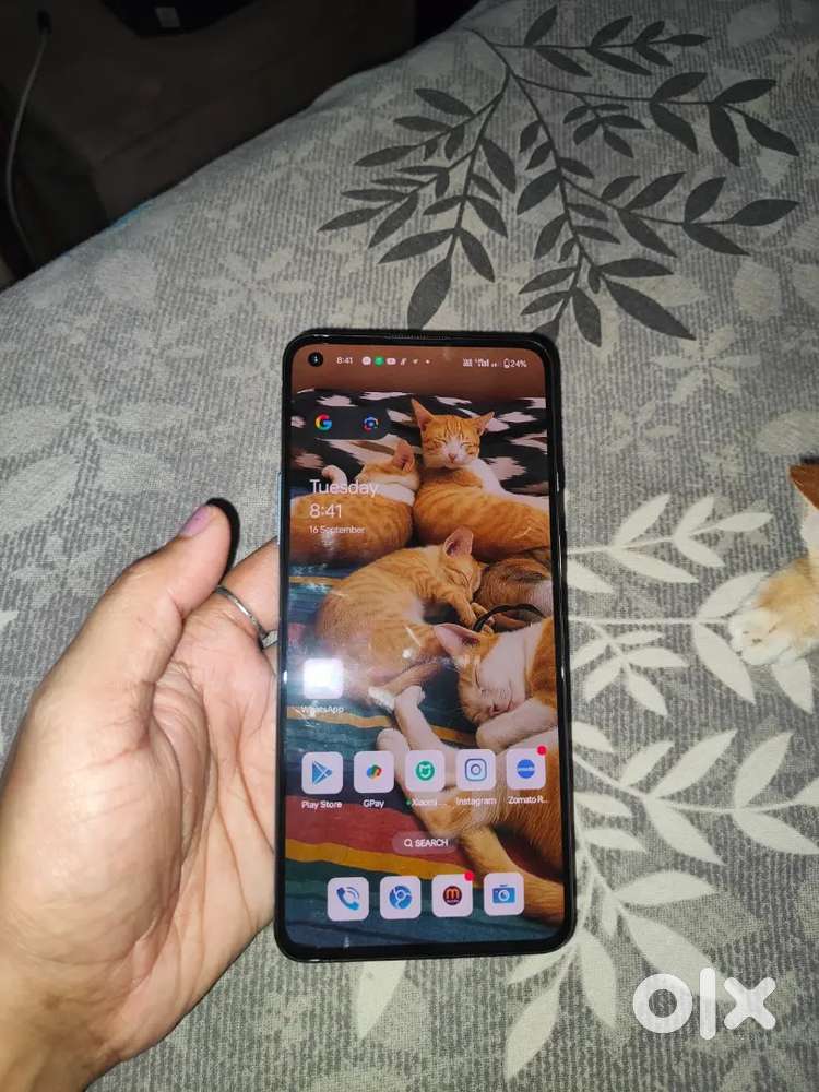 Oneplus 9r