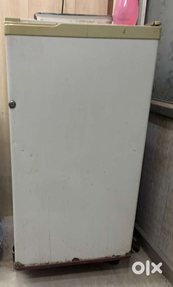 Fridge in working condition. Freezer also works