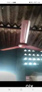 Ceiling fan
