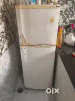 Electrolux Double door