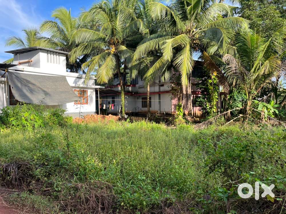 8 cent plot for sale